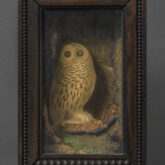 An Owl for Ondine