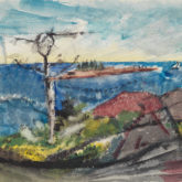 Vicinity of Small Point, Maine