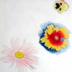Three Colorful Flowers