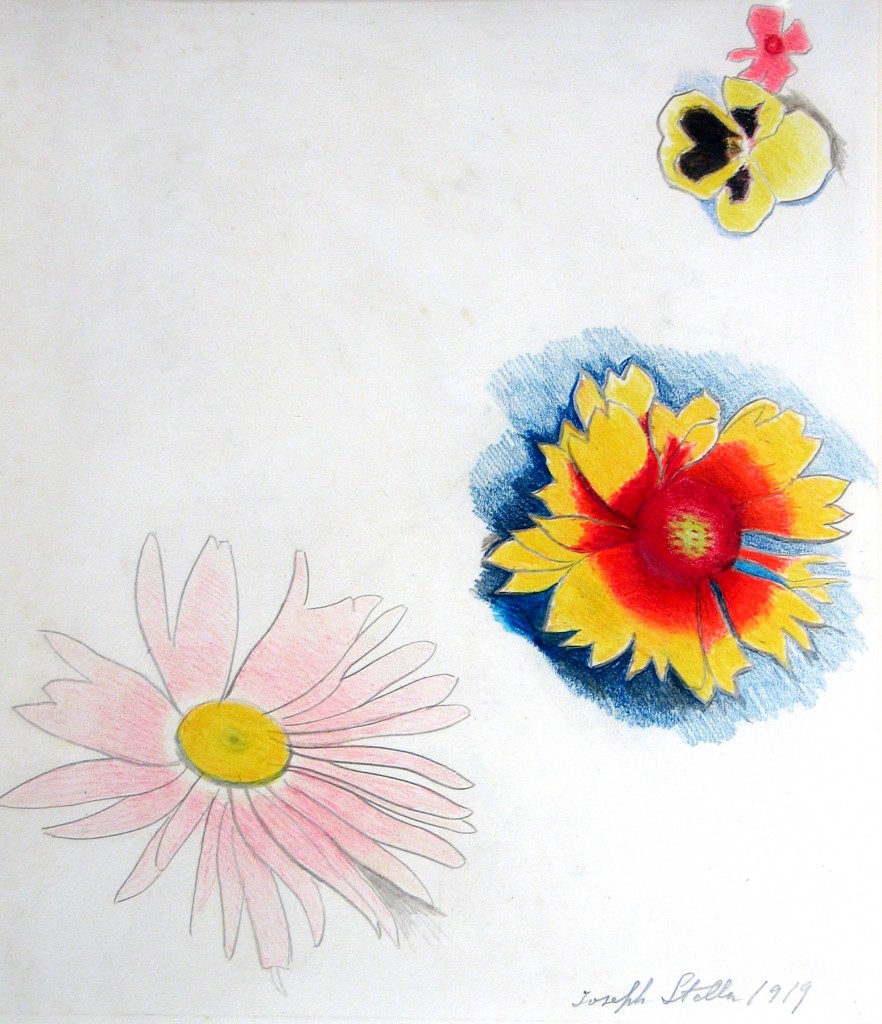 Three Colorful Flowers